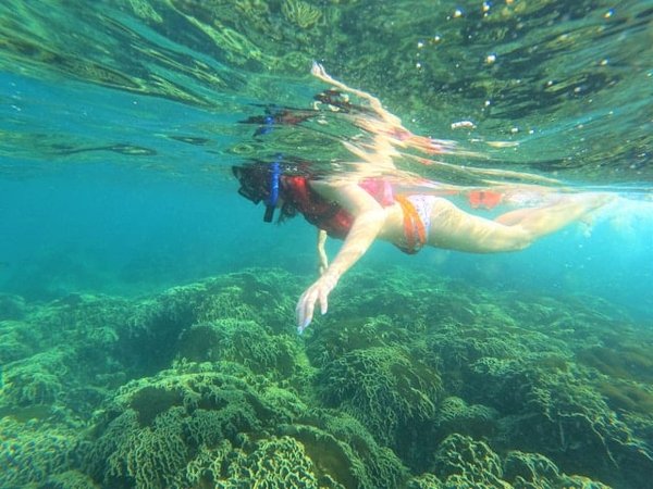 Quels sont les meilleurs spots pour la plongée en apnée sur la Grande Barrière de Corail, Australie?
