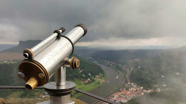 Quelles sont les meilleures techniques pour observer les mammifères marins en camping côtier?